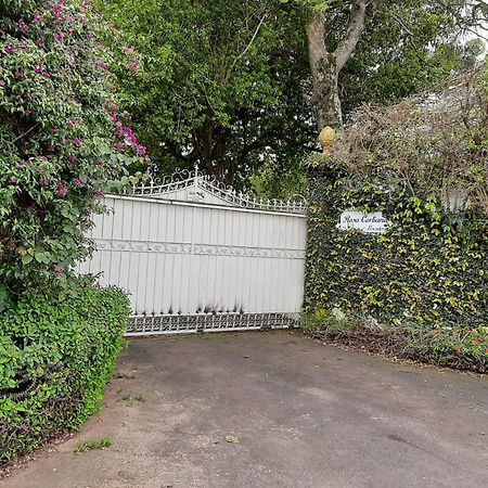 São GabrielRosa Cortiana Escaleraアパートメント エクステリア 写真