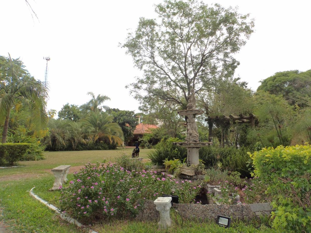 São GabrielRosa Cortiana Escaleraアパートメント エクステリア 写真