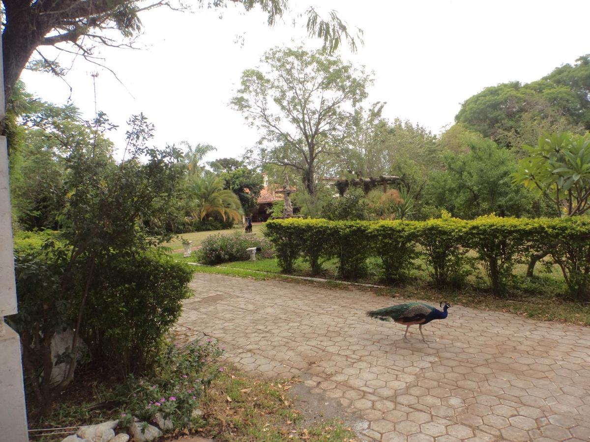 São GabrielRosa Cortiana Escaleraアパートメント エクステリア 写真